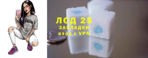 стаф Осинники