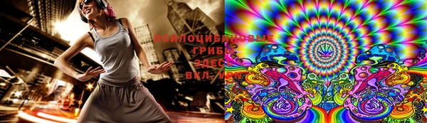 ПСИЛОЦИБИНОВЫЕ ГРИБЫ Алексин