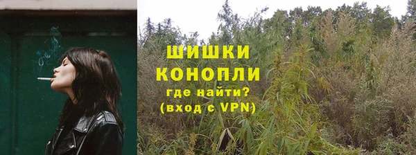ПСИЛОЦИБИНОВЫЕ ГРИБЫ Алексин