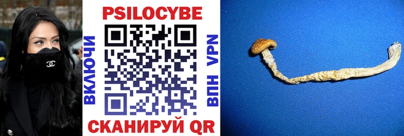 Галлюциногенные грибы MAGIC MUSHROOMS Хотьково