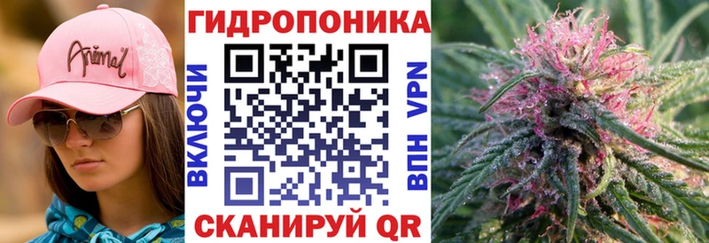 KRAKEN онион  наркошоп  Хотьково  Канабис AK-47 